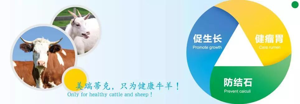 微信图片_20191231152630.jpg
