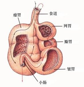 t012b3033d2dec3d769.jpg