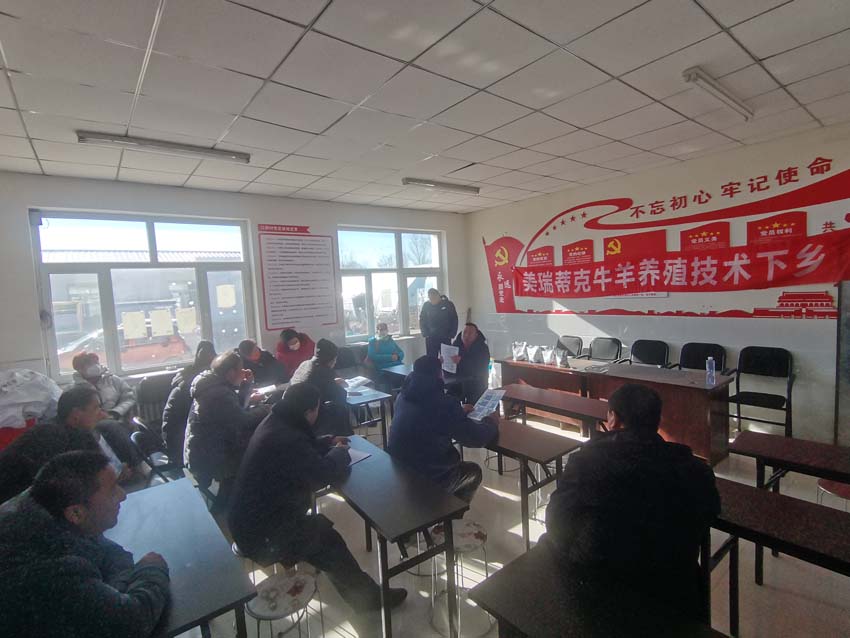 反刍技术下乡，牛羊肥美健康 ——美瑞蒂克养殖技术服务下乡口琴村