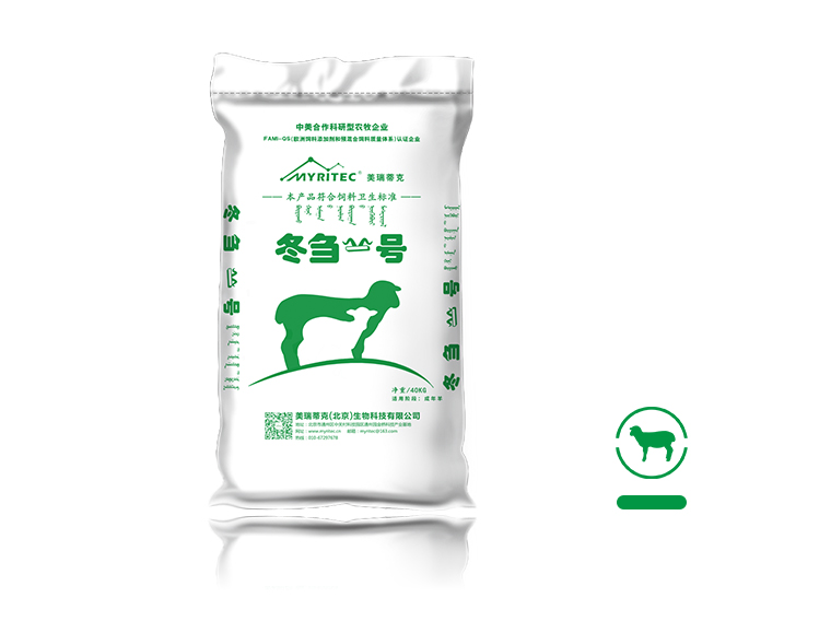 冬刍一号（羊）