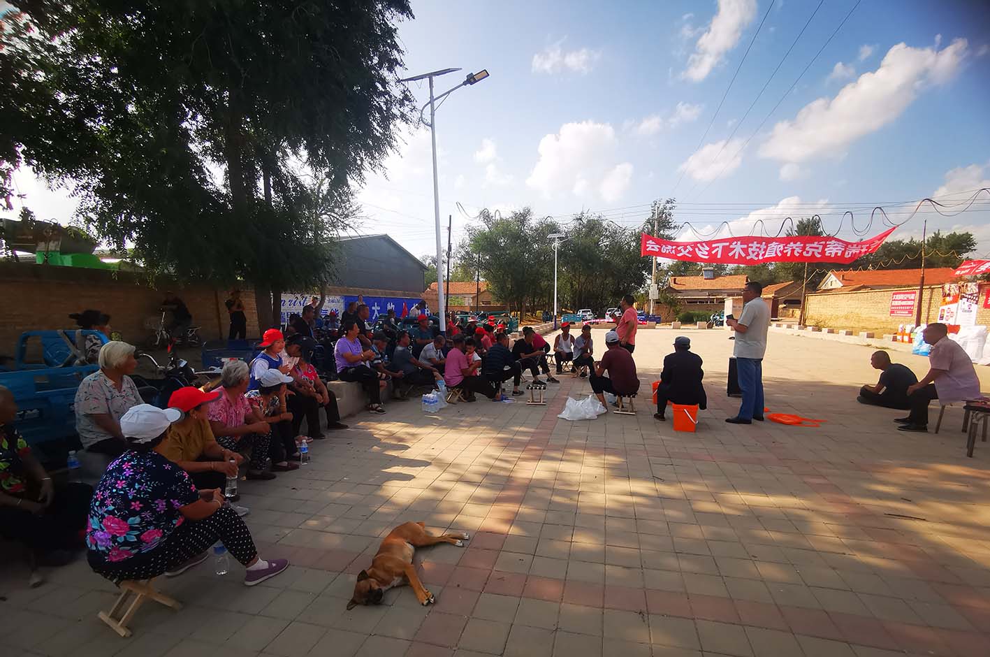 1693290547163240.jpg 1693290547163240.jpg